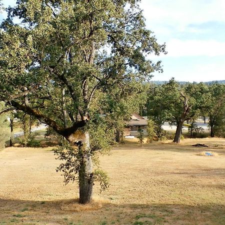 New Charming 2 Bedrooms Unit Close To Everything Oakhurst Exterior photo