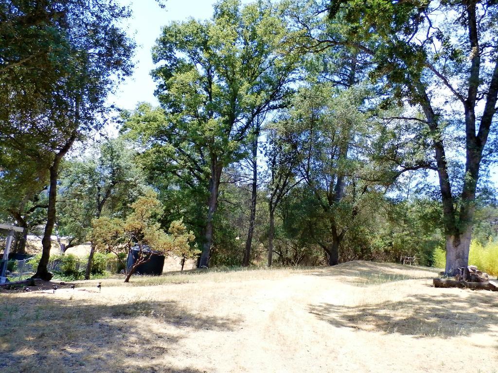 New Charming 2 Bedrooms Unit Close To Everything Oakhurst Exterior photo